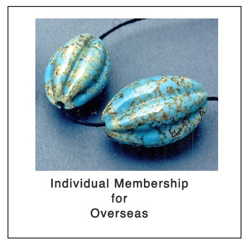 membership individual overseas